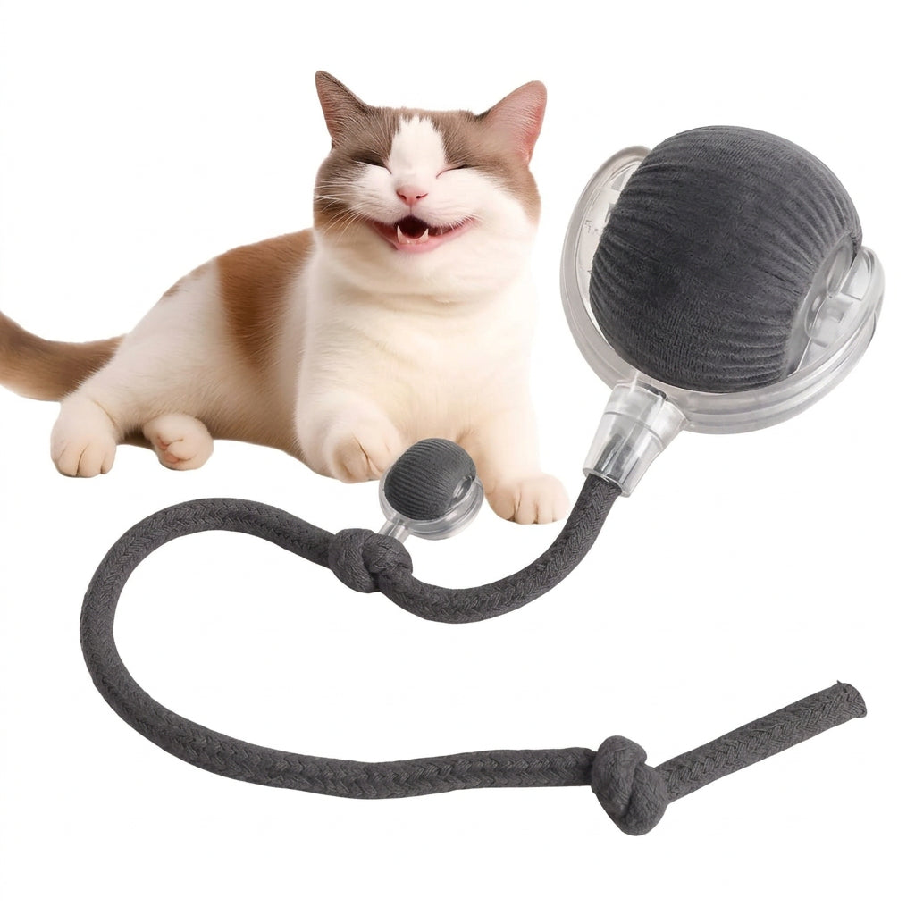 Pelota interactiva con colita para gato y perro