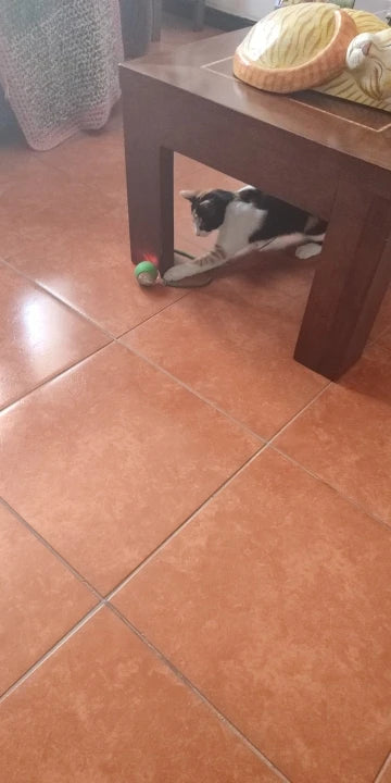 Ivan P.