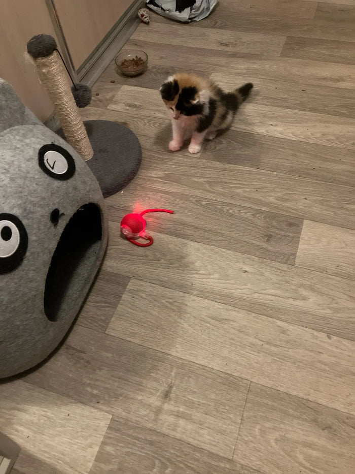 Isaac M.