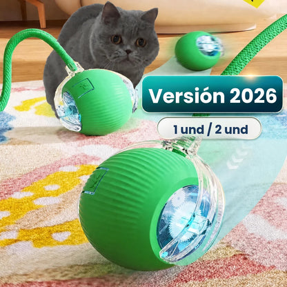 ZoomTail verde con gato, versión 2026
