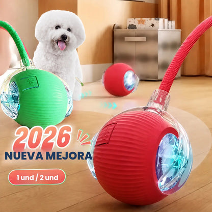 ZoomTail nueva mejora con perro