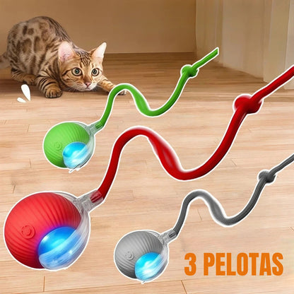 3 pelotas ZoomTail con gato