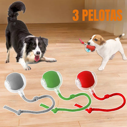 3 pelotas ZoomTail con perros